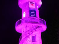 Brendturm - Copyright&colon; Stadt Furtwangen
