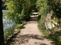 Bergsee - Copyright: Stadt Bad Säckingen, Tourismus- und Kulturamt Bergsee - Copyright: Stadt Bad Säckingen, Tourismus- und Kulturamt