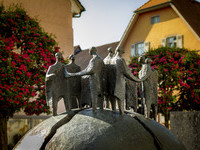 (Bildnachweis: Stadtverwaltung Geisingen) (Bildnachweis: Stadtverwaltung Geisingen)