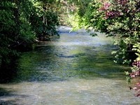 Tiefenbronn (Bildnachweis: Mit freundlicher Genehmigung des Bürgermeisteramtes Tiefenbronn)