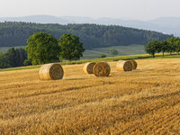  (Bildnachweis: �schulte-kellinghaus)