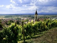  (Bildnachweis: Mit freundlicher Genehmigung der Touristikinformation Auggen / Winzerkeller Auggener Schäf)