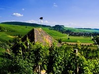  (Bildnachweis: Mit freundlicher Genehmigung der Touristikinformation Auggen / Winzerkeller Auggener Schäf)