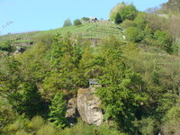 Bühlertal (Bildnachweis: Tourist-Information Bühlertal) Bühlertal (Bildnachweis: Tourist-Information Bühlertal)