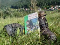  (Bildnachweis: Mit freundlicher Genehmigung der Tourist Information Enzkl�sterle)