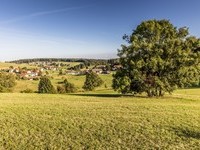 Görwihl - Engelschwand  (Bildnachweis: Mit freundlicher Genehmigung der Hotzenwald Tourist-Info Görwihl  )