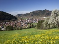 © ZweiTälerLand Tourismus, Gutach-Bleibach Fotograf Clemens Emmler (Bildnachweis: © ZweiTälerLand Tourismus, Gutach-Bleibach Fotograf Clemens Emmler)