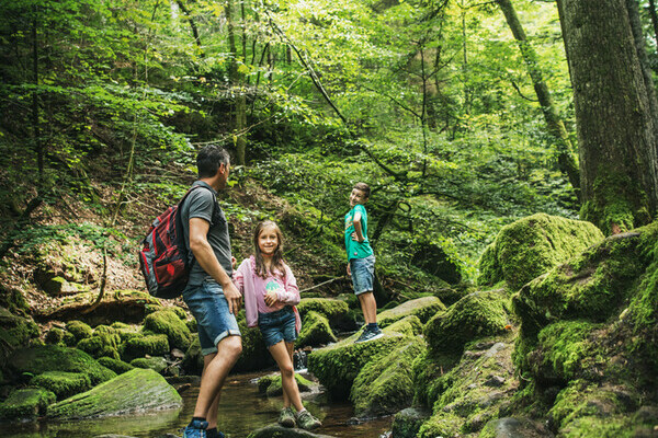 Familie im Monbachtal Copyright: (©Locher Fotodesign & Manufaktur)