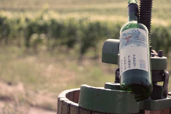 Eduardo & das Weingeheimnis Bildnachweis: Mit freundlicher Genehmigung von Berggeheimnis Eduardo & das Weingeheimnis Bildnachweis: Mit freundlicher Genehmigung von Berggeheimnis