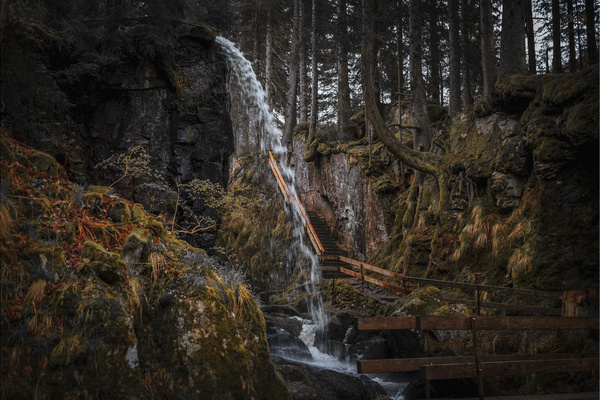 Das verborgene Portrait des gro�en Winterhalters - Outdoor-Escape-Erlebnis mit dem Fahrrad im Bernauer Hochtal. Bildnachweis: Mit freundlicher Genehmigung von Berggeheimnis