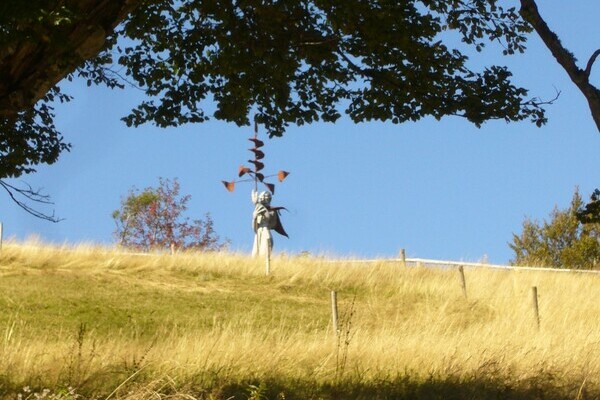 Dreisamtal Weide Copyright: (Tourist-Information Dreisamtal) Dreisamtal Weide Copyright: (Tourist-Information Dreisamtal)