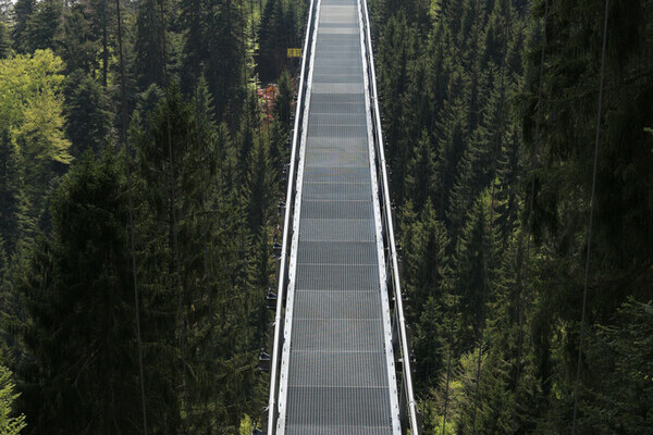 Wildline Hängeseilbrücke Bildnachweis: Hotel Rothfuss Bad Wildbad