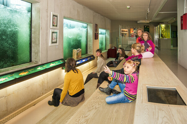 Fischtreppe Rheinau (Copyright: Passage 309) Fischtreppe Rheinau (Copyright: Passage 309)