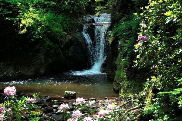 Geroldsauer Wasserfälle Copyright: (Baden-Baden Kur & Tourismus GmbH)