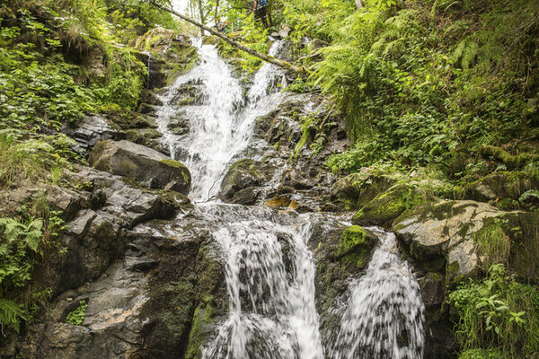 Todtnauer Wasserfälle Copyright: (Hochschwarzwald Tourismus GmbH )