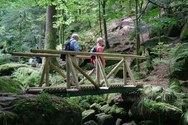 Gertelbach Wasserfälle Copyright: (Mit freundlicher Genehmigung der Tourist-Info Bühl-Bühlertal)