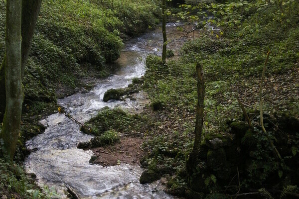 Laufenbach Wasserfälle Bildnachweis: Bürgermeisteramt Loffenau