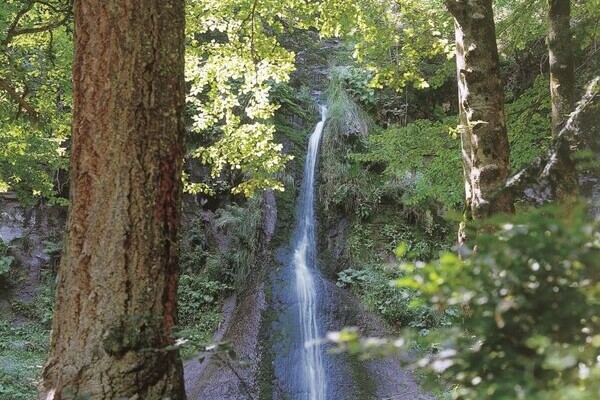 Sankenbach Wasserfall Copyright: (Mit freundlicher Genehmigung der Baiersbronn Touristik) Sankenbach Wasserfall Copyright: (Mit freundlicher Genehmigung der Baiersbronn Touristik)
