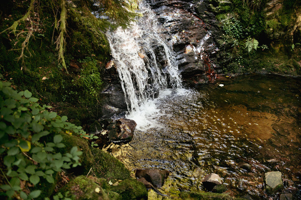  Becken des Wasserfalls in der Windbergschlucht bei St. Blasien Copyright: ( Hochschwarzwald Tourismus GmbH)